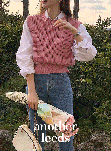 [another leeds] 넛트 와플 knit vest